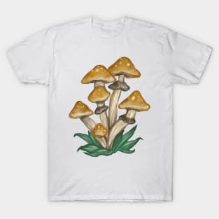 golden teacher shrooms T-Shirt